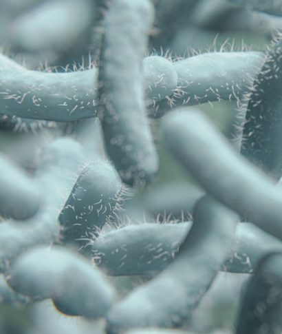 Candida Diyeti Candida Diyeti